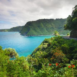 road to hana - maui .hawaii